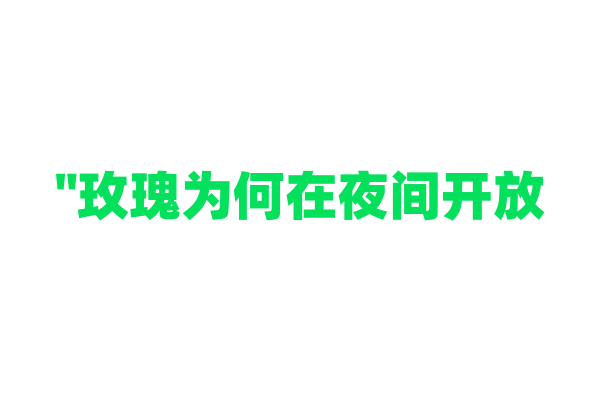 "玫瑰为何在夜间开放？"